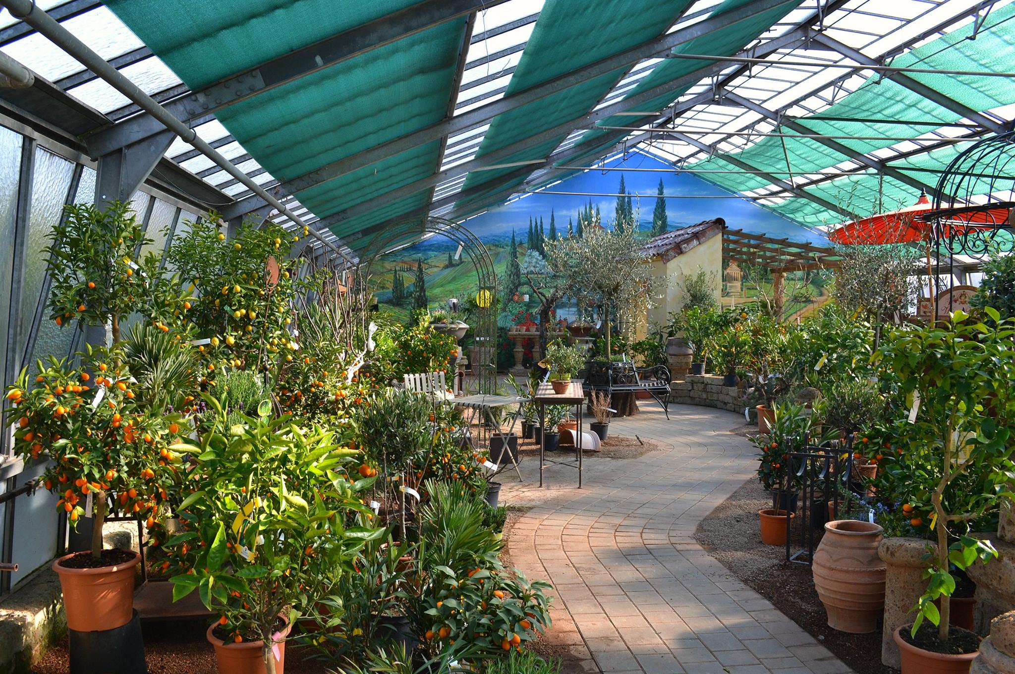 florarium florarium