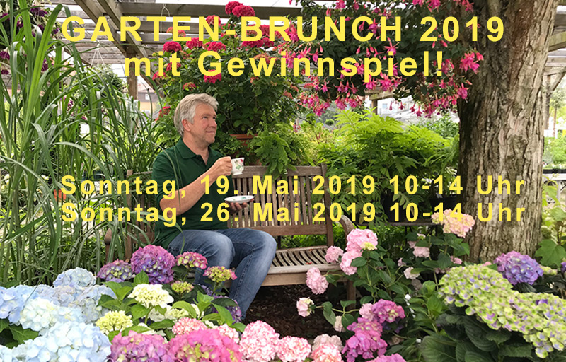 Gartenbrunch_new-800x500 Gartenbrunch_new-800x500