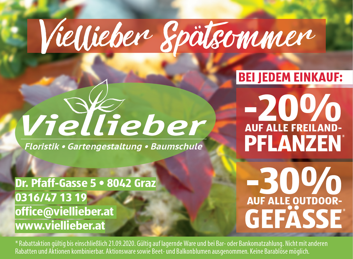 HERBSTVIELLIEBER HERBSTVIELLIEBER